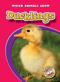 Enlarge image Cover: Ducklings - Blastoff! Readers