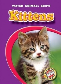 Enlarge image Cover: Kittens - Blastoff! Readers