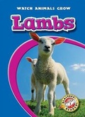 Cover: Lambs - Blastoff! Readers