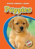Cover: Puppies - Blastoff! Readers