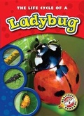 Cover: The Life Cycle of a Ladybug - Blastoff! Readers