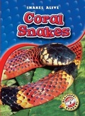 Cover: Coral Snakes - Blastoff! Readers