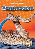 Cover: Rattlesnakes - Blastoff! Readers