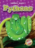 Cover: Pythons - Blastoff! Readers