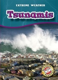 Cover: Tsunamis - Bellwether Media