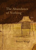 Cover: The Abundance of Nothing - Northwestern University Press