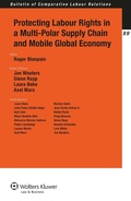 Cover: Protecting Labour Rights in a Multi-polar Supply Chain and Mobile Global Economy - Kluwer Law International