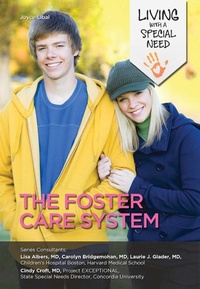 Enlarge image Cover: The Foster Care System - Simon + Schuster Inc.