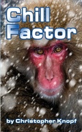 Cover: Chill Factor - BEARMANOR MEDIA