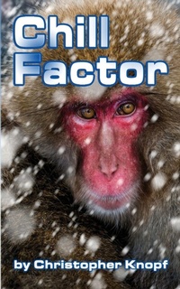 Enlarge image Cover: Chill Factor - BEARMANOR MEDIA