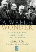 Cover: A Well of Wonder - Paraclete Press
