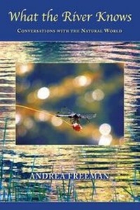 Enlarge image Cover: What the River Knows - Halcyon Wind Press