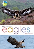Cover: RSPB Spotlight: Eagles - Bloomsbury Natural History