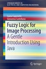 Cover: Fuzzy Logic for Image Processing - Springer