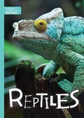 Cover: Reptiles - The Secret Book Company