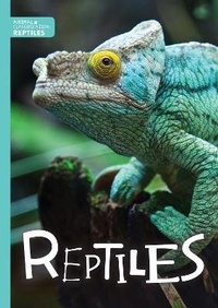 Enlarge image Cover: Reptiles - The Secret Book Company