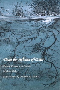 Enlarge image Cover: Under the Influence of Water - Wayne State University Press