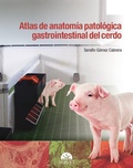 Bild: Atlas de Anatomia Patologica Gastrointestinal del Cerdo - Servet