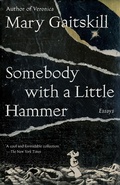 Cover: Somebody with a Little Hammer - Vintage