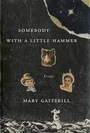 Cover: Somebody with a Little Hammer - Pantheon Books