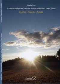 Abbildung von: Zwielicht. Pénombre. Twilight - Zerr, Sibylle