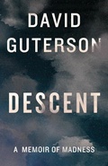 Cover: Descent - Vintage