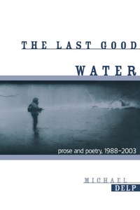 Enlarge image Cover: The Last Good Water - Wayne State University Press