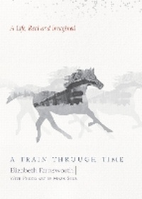 Enlarge image Cover: A Train through Time - Counterpoint