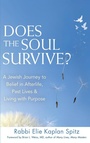 Cover: Does the Soul Survive? (2nd Edition) - Jewish Lights Publishing