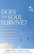 Cover: Does the Soul Survive? (2nd Edition) - Jewish Lights Publishing
