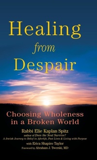 Enlarge image Cover: Healing from Despair - Jewish Lights Publishing