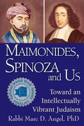 Cover: Maimonides, Spinoza and Us - Jewish Lights Publishing