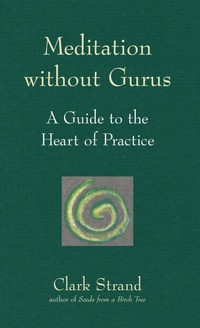 Enlarge image Cover: Meditation without Gurus - SkyLight Paths Publishing,US