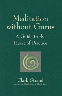 Enlarge image Cover: Meditation without Gurus - SkyLight Paths Publishing,US