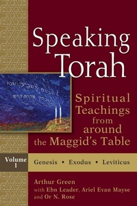 Enlarge image Cover: Speaking Torah Vol 1 - Jewish Lights Publishing