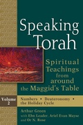 Cover: Speaking Torah Vol 2 - Jewish Lights Publishing
