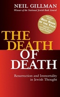 Cover: The Death of Death - Jewish Lights Publishing
