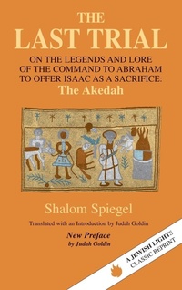Enlarge image Cover: The Last Trial - Jewish Lights Publishing