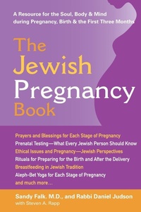 Enlarge image Cover: The Jewish Pregnancy Book - Jewish Lights Publishing
