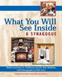 Enlarge image Cover: What You Will See Inside a Synagogue - Skylight Paths Publishing