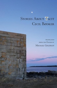 Abbildung von: Stories About Tacit - Spuyten Duyvil Publishing
