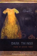 Cover: Dark Things - BOA Editions Ltd.