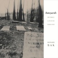 Cover: Boneyards - Wayne State University Press