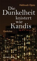 Cover: Die Dunkelheit knistert wie Kandis - Pendragon