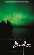 Cover: If the World Becomes So Bright - Wayne State University Press