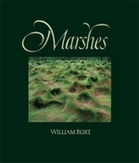 Enlarge image Cover: Marshes - Yale University Press