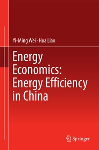 Abbildung von: Energy Economics: Energy Efficiency in China - Springer
