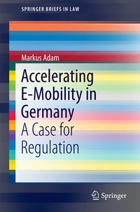 Abbildung von: Accelerating E-Mobility in Germany - Springer
