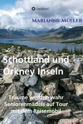 Cover: Tr&auml;ume werden wahr, Band 3 - tredition