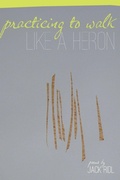Cover: Practicing to Walk Like a Heron - Wayne State University Press